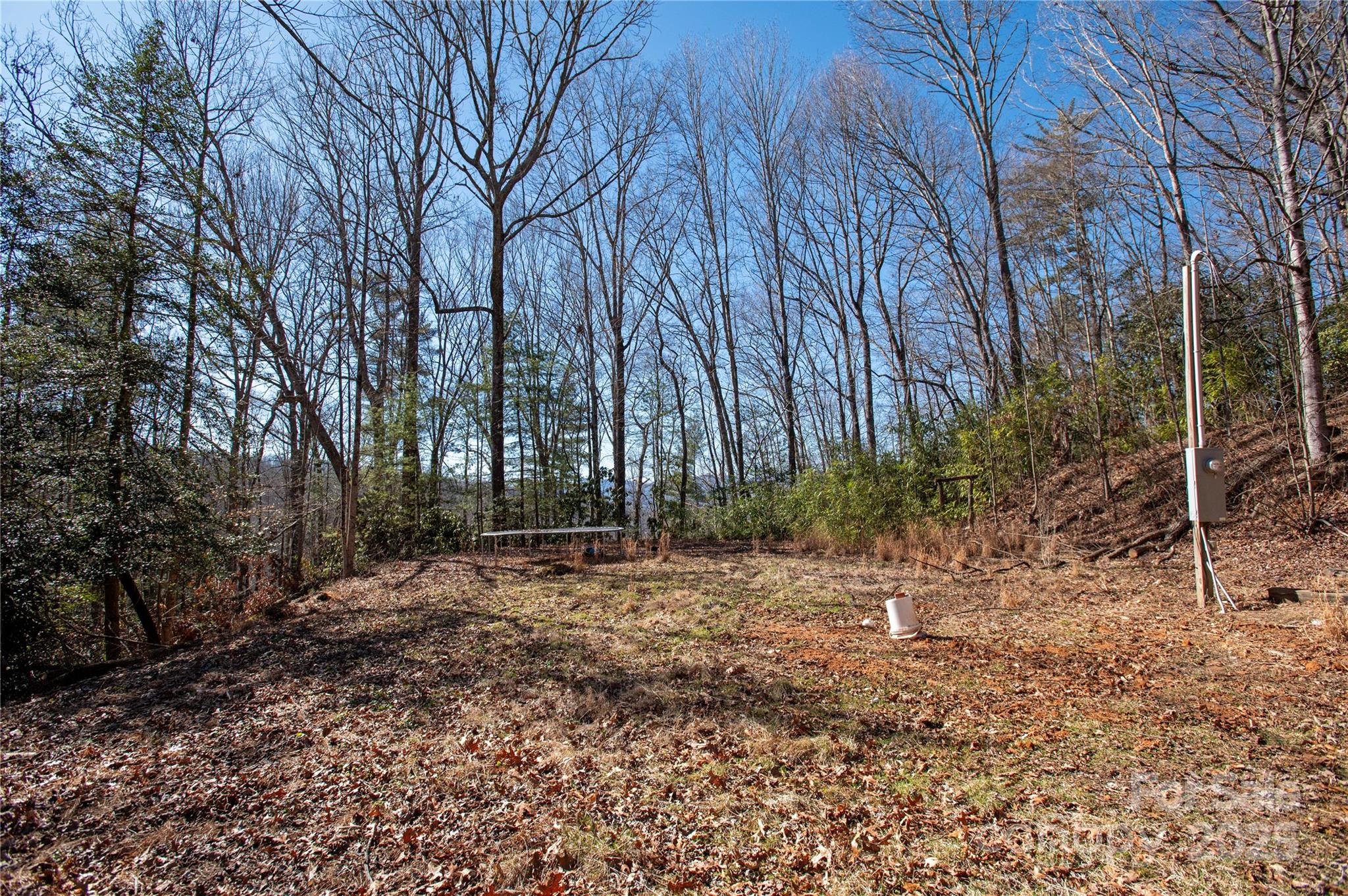 396 Patton Mountain Road Pisgah Forest, NC 28768 - Photo 5 of 11 Gallery Image 5