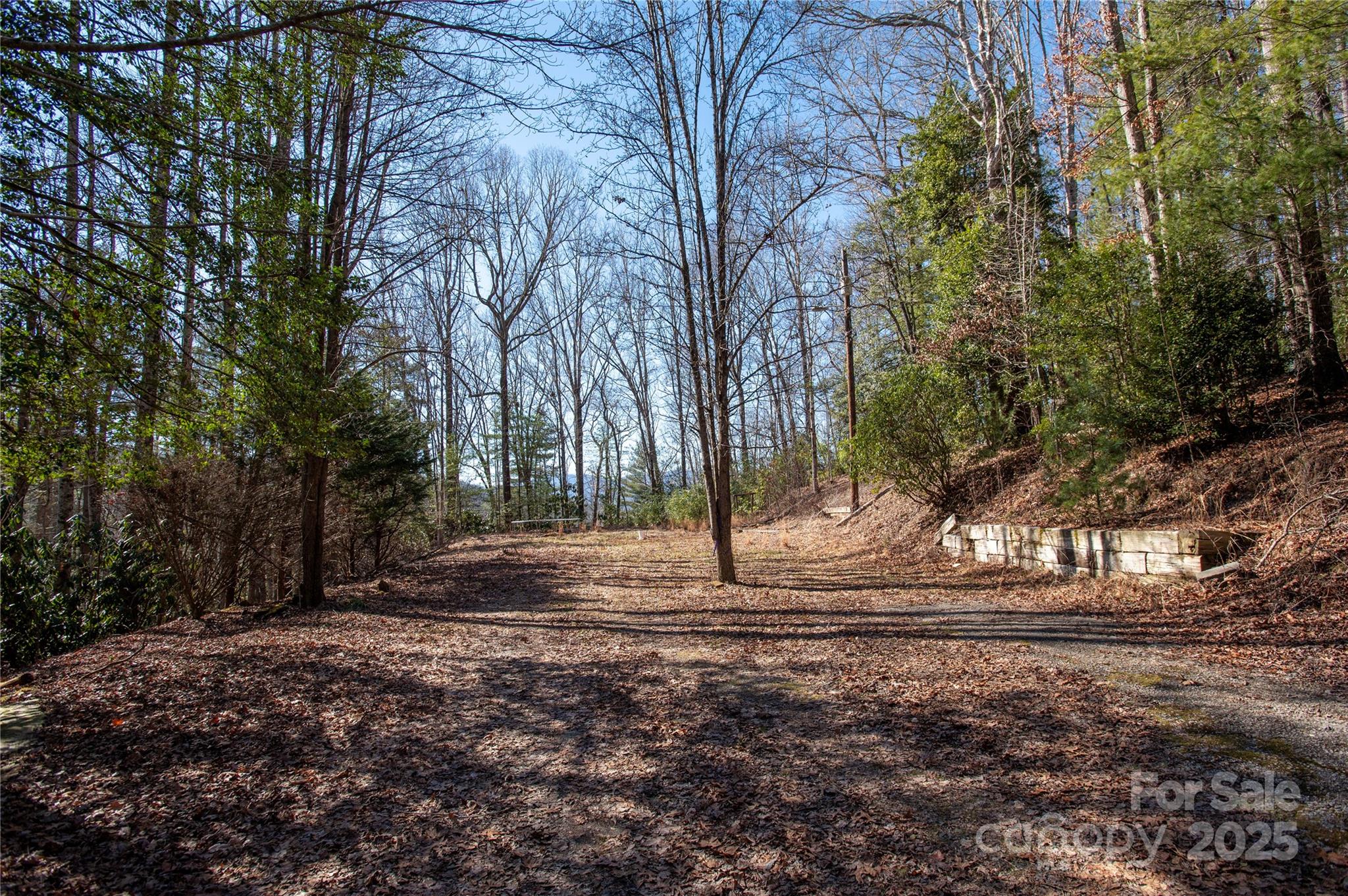 396 Patton Mountain Road Pisgah Forest, NC 28768 - Photo 6 of 11 Gallery Image 6