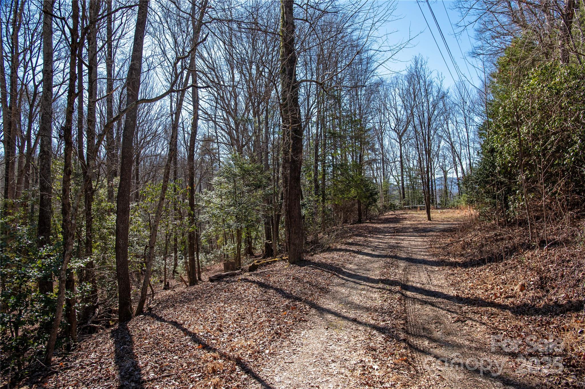 396 Patton Mountain Road Pisgah Forest, NC 28768 - Photo 7 of 11 Gallery Image 7