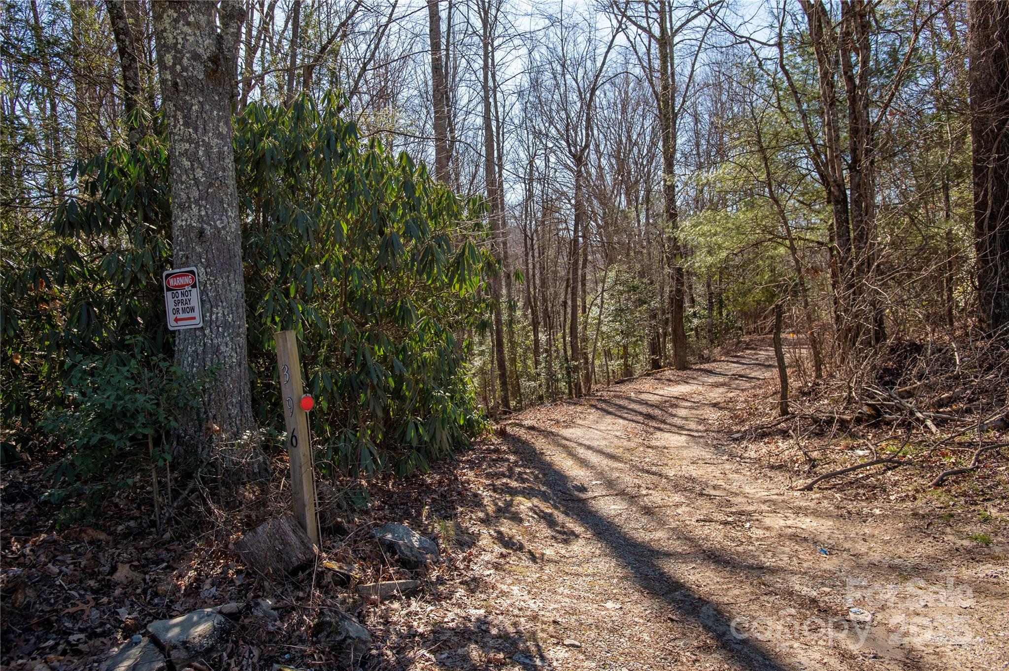 396 Patton Mountain Road Pisgah Forest, NC 28768 - Photo 8 of 11 Gallery Image 8
