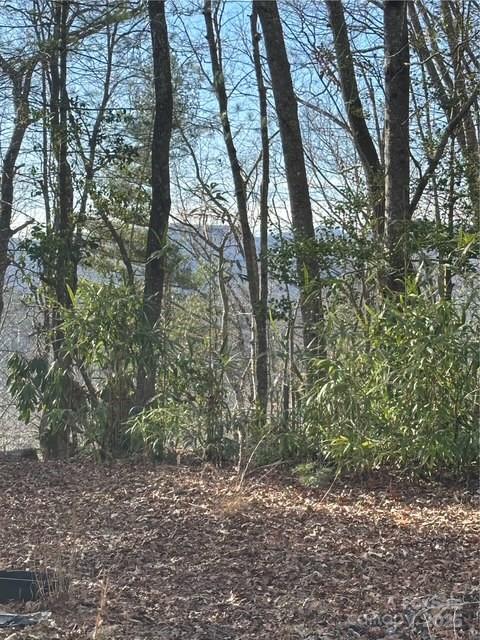 396 Patton Mountain Road Pisgah Forest, NC 28768 - Photo 10 of 11 Gallery Image 10