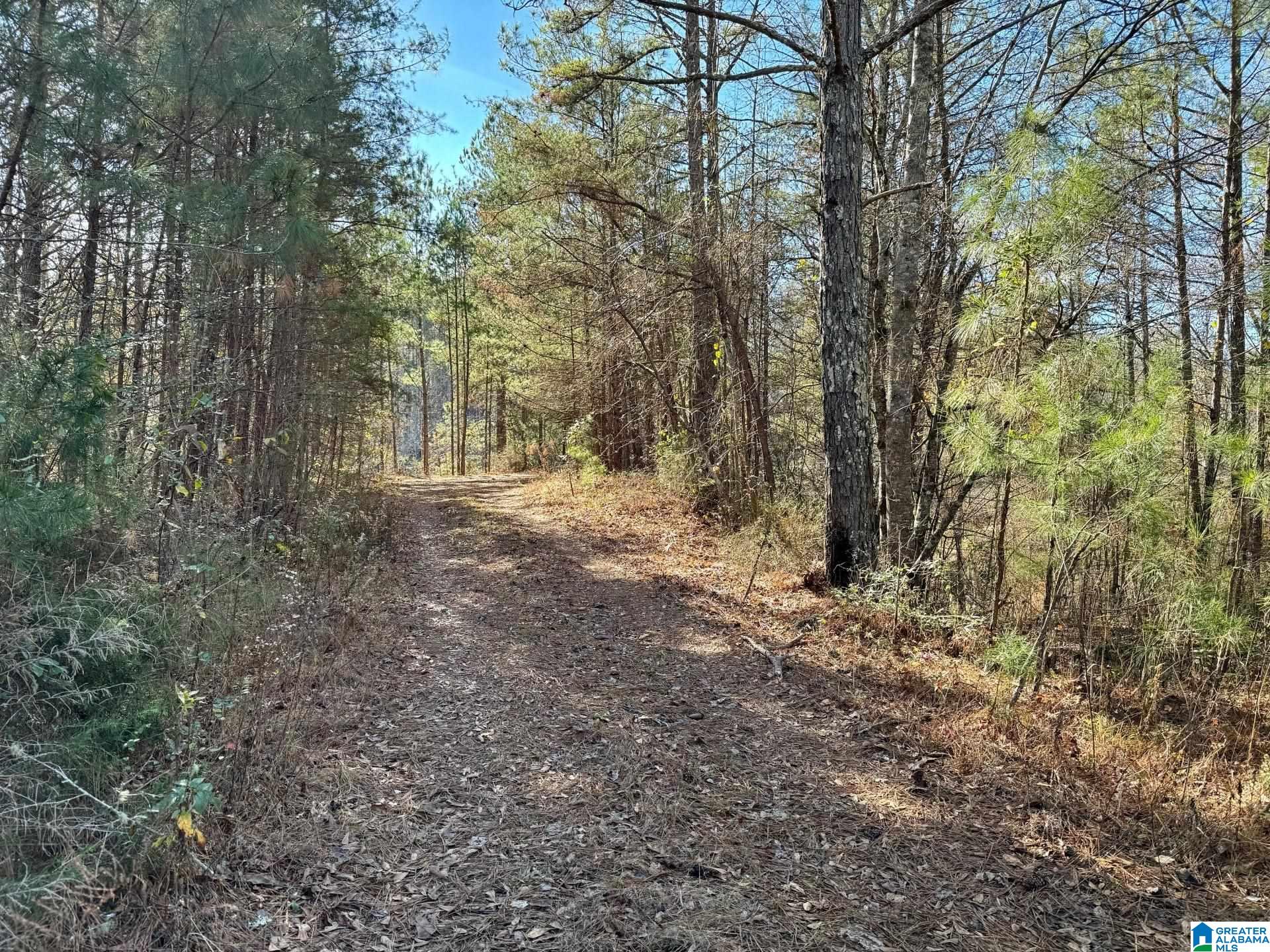 7 County Road Wedowee, AL 36278 - Photo 6 of 9