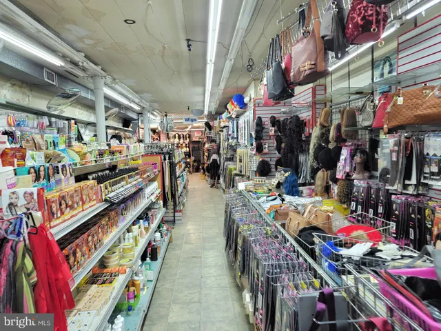 a living room with furniture flowerpot and window