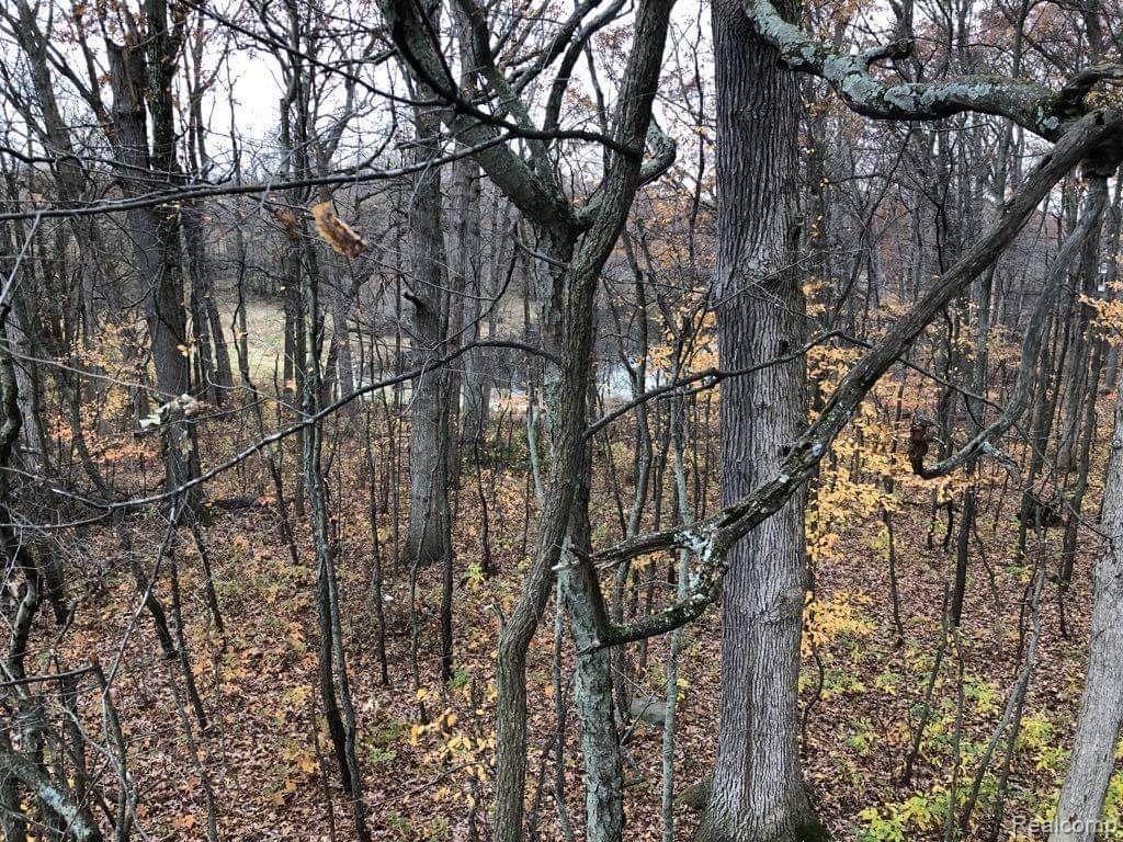 0 Bishop Road Byron, MI 48418 - Photo 3 of 7