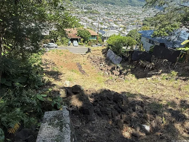 a view of a garden with plants
