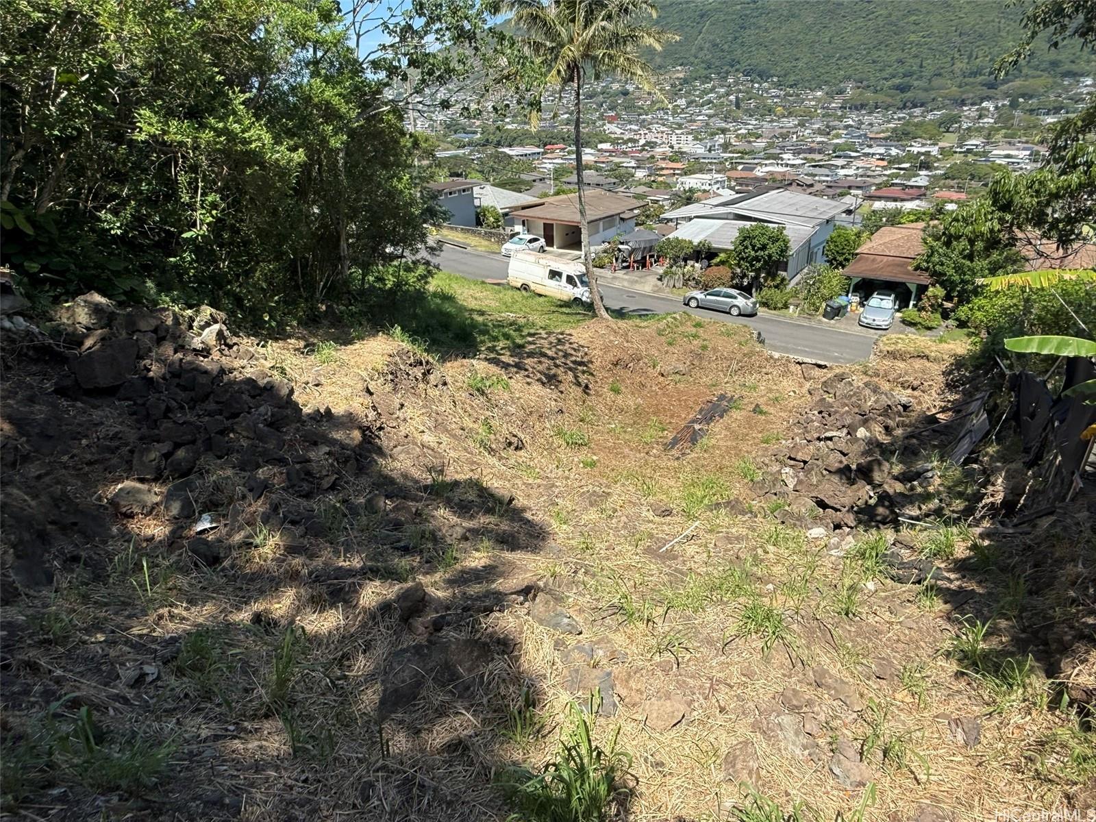 3059 Woolsey Place Honolulu, HI 96822 - Photo 14 of 18 a view of a forest with a tree