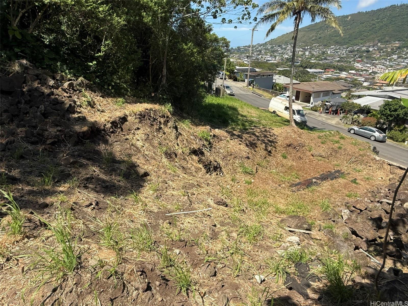 3059 Woolsey Place Honolulu, HI 96822 - Photo 15 of 18 a view of a yard with a tree