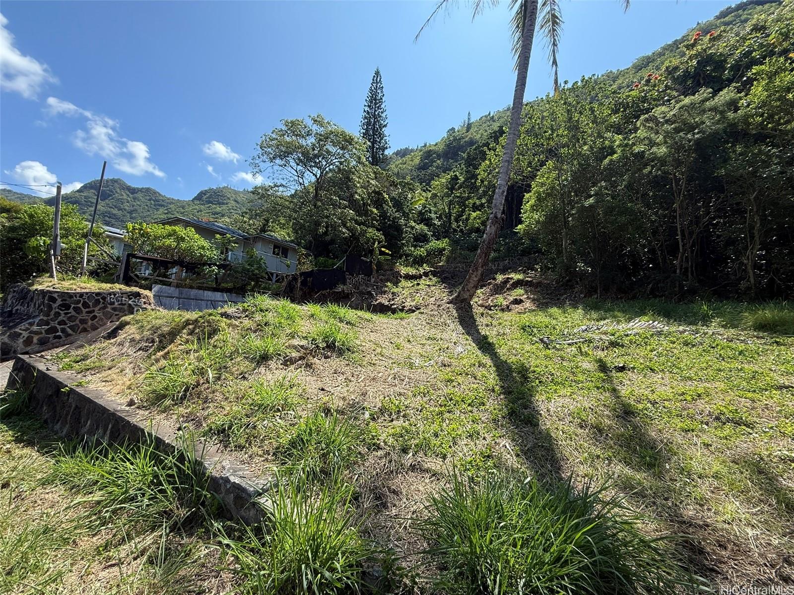 3059 Woolsey Place Honolulu, HI 96822 - Photo 3 of 18 a view of swimming pool from a garden