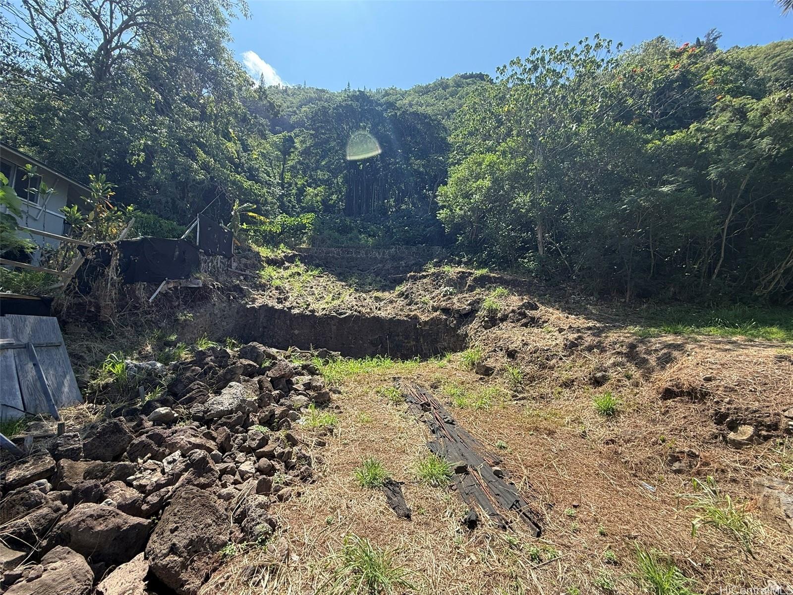 3059 Woolsey Place Honolulu, HI 96822 - Photo 5 of 18 a view of a yard with plants and trees