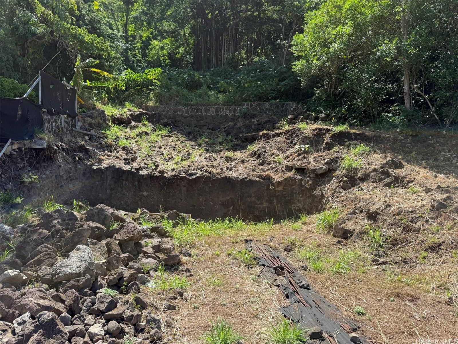 3059 Woolsey Place Honolulu, HI 96822 - Photo 6 of 18 a view of a yard with a yard and lots of trees