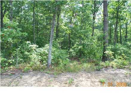 4 Wolf Pen Road Dunlap, TN 37327 - Photo 1 of 3 Primary Photo