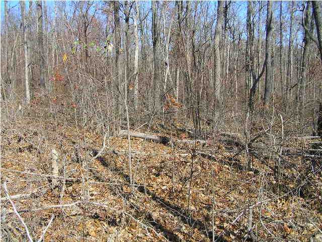 4 Wolf Pen Road Dunlap, TN 37327 - Photo 3 of 3 Additional Photo