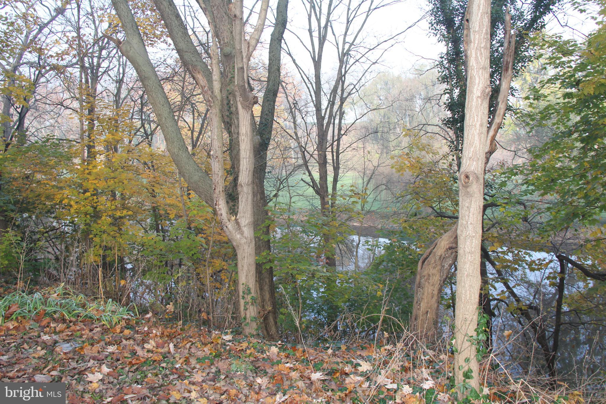 255 Brook Farms Road Lancaster, PA 17601 - Photo 3 of 7