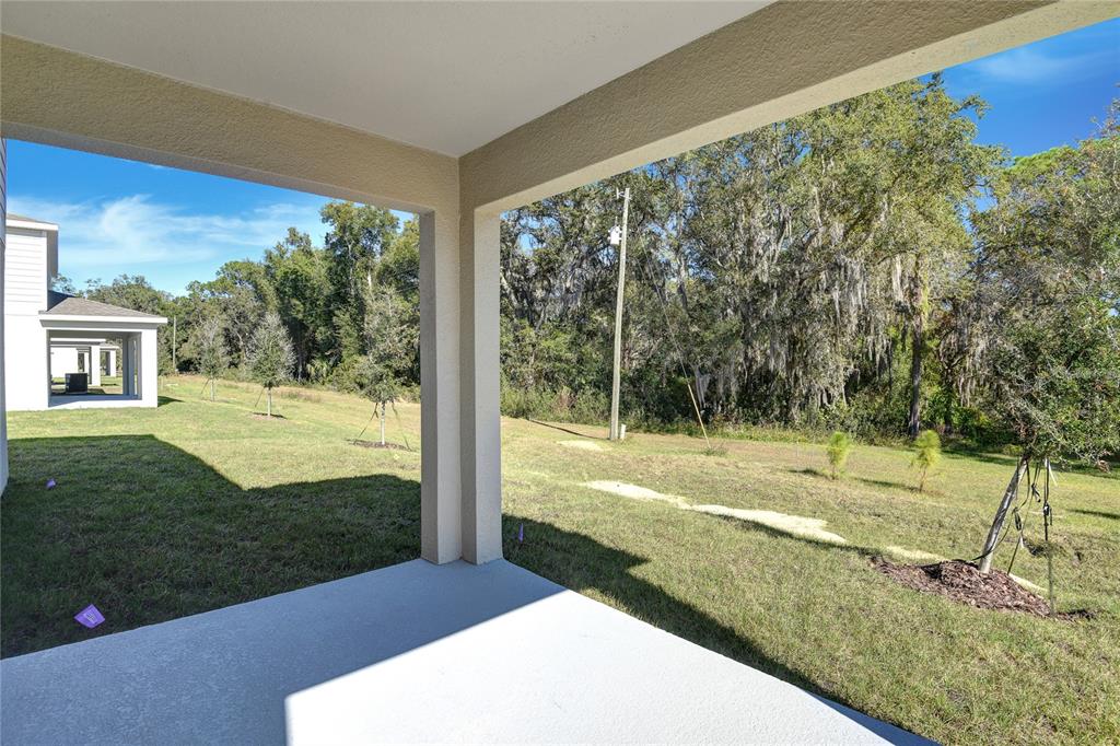 1010 Cloud Rdg Court Mount Dora, FL 32757 - Photo 18 of 19