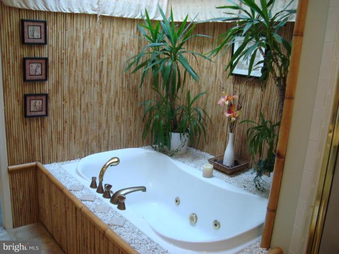9000 Jones Mill Road Chevy Chase, MD 20815 - Photo 7 of 24 Master Bath