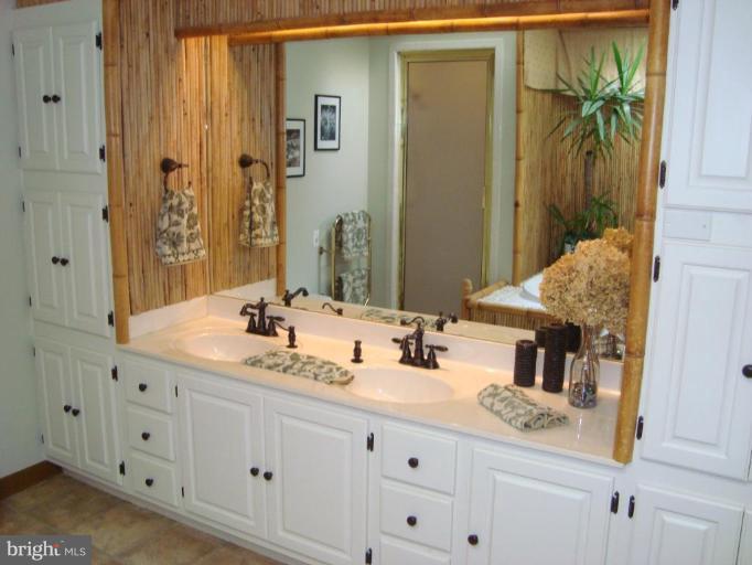 9000 Jones Mill Road Chevy Chase, MD 20815 - Photo 8 of 24 Master Bath #2