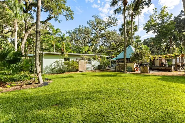 a view of a park with large trees