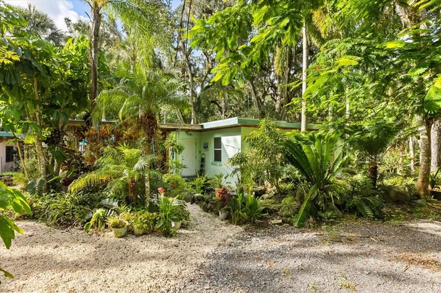 a view of a large yard with plants and large trees