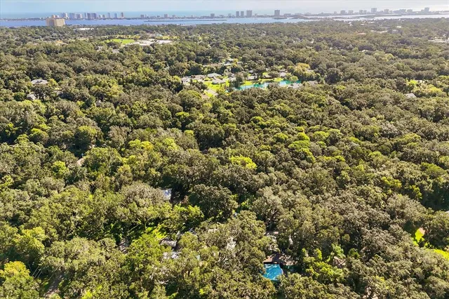 an aerial view of residential houses with city view