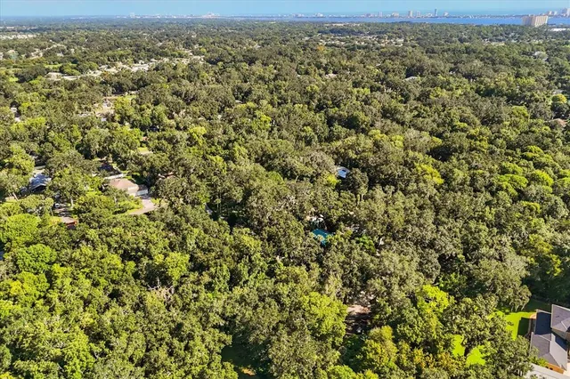 a view of a yard with large trees