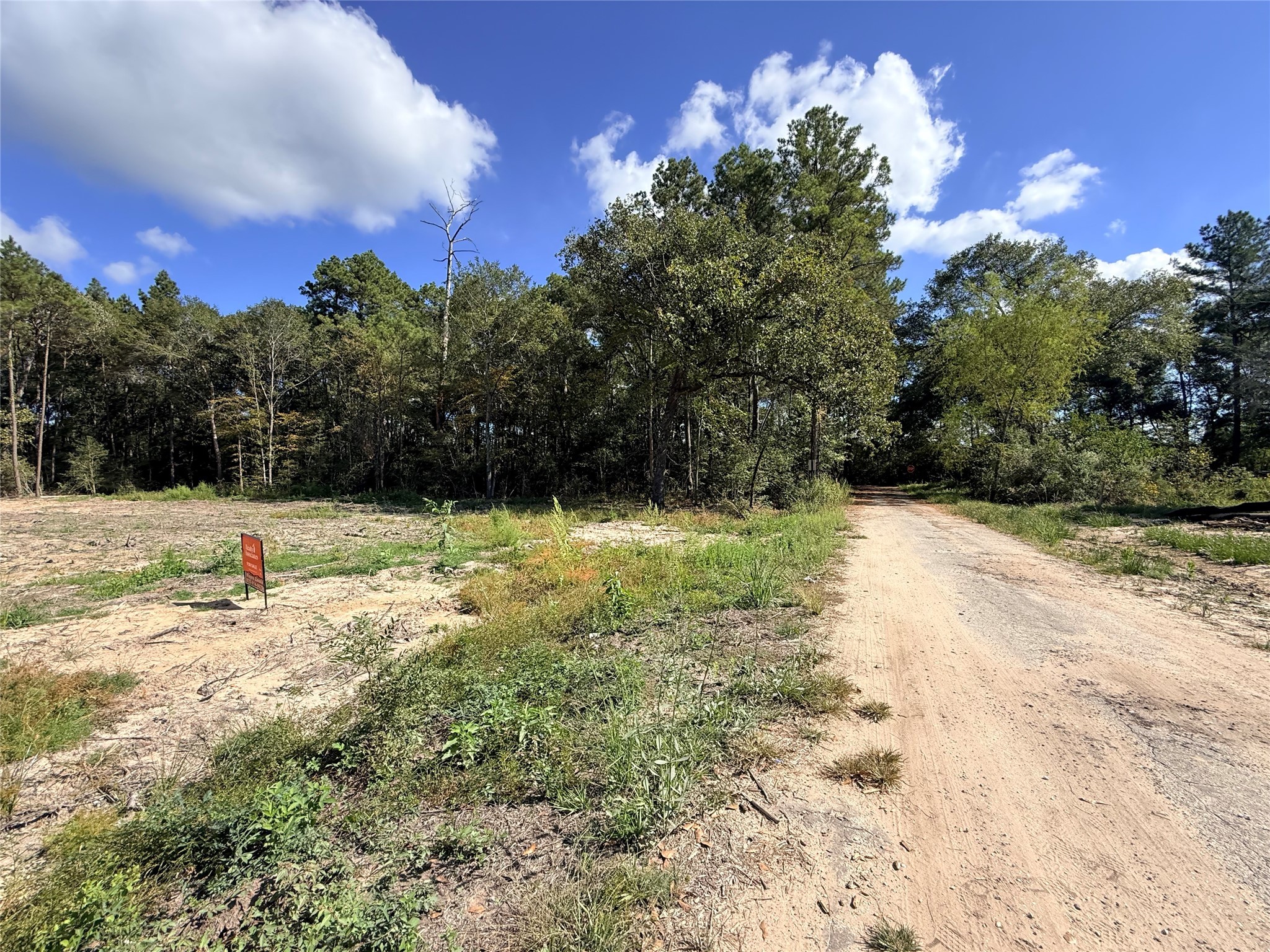 11249 Wildwood Lane Plantersville, TX 77363 - Photo 11 of 14