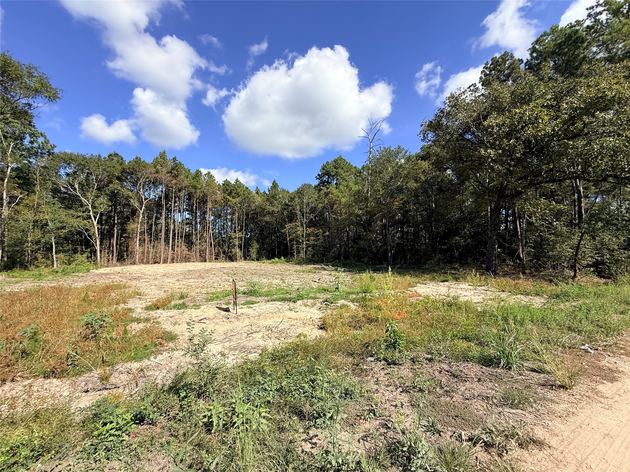 11249 Wildwood Lane Plantersville, TX 77363 - Photo 12 of 14