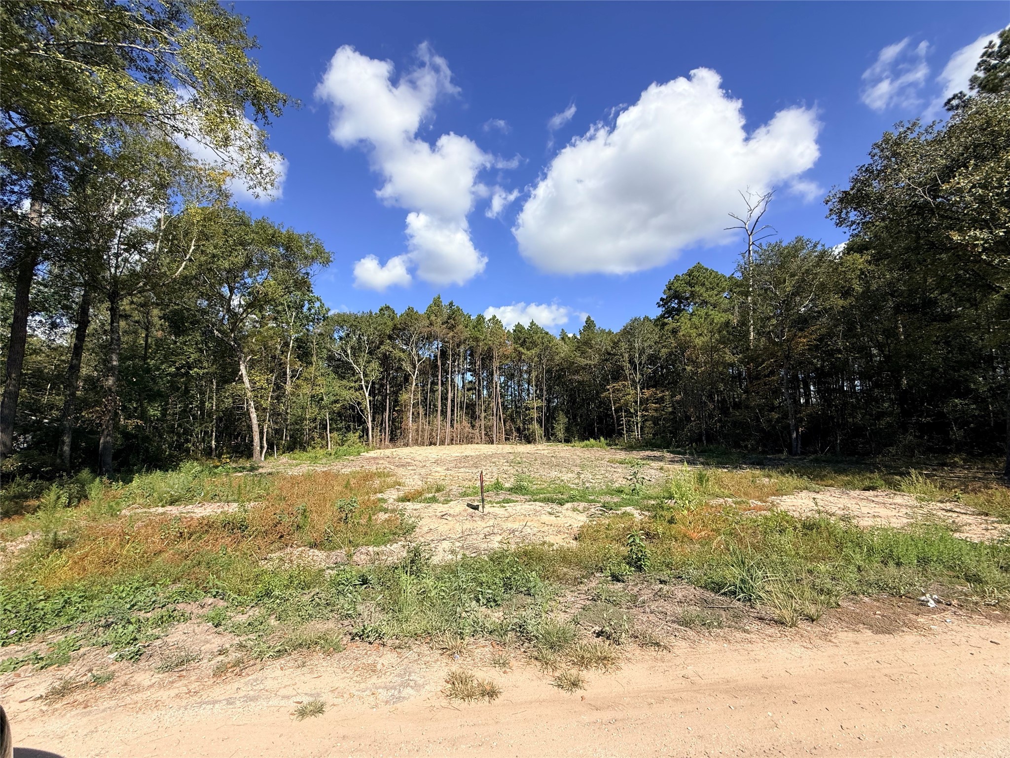 11249 Wildwood Lane Plantersville, TX 77363 - Photo 13 of 14