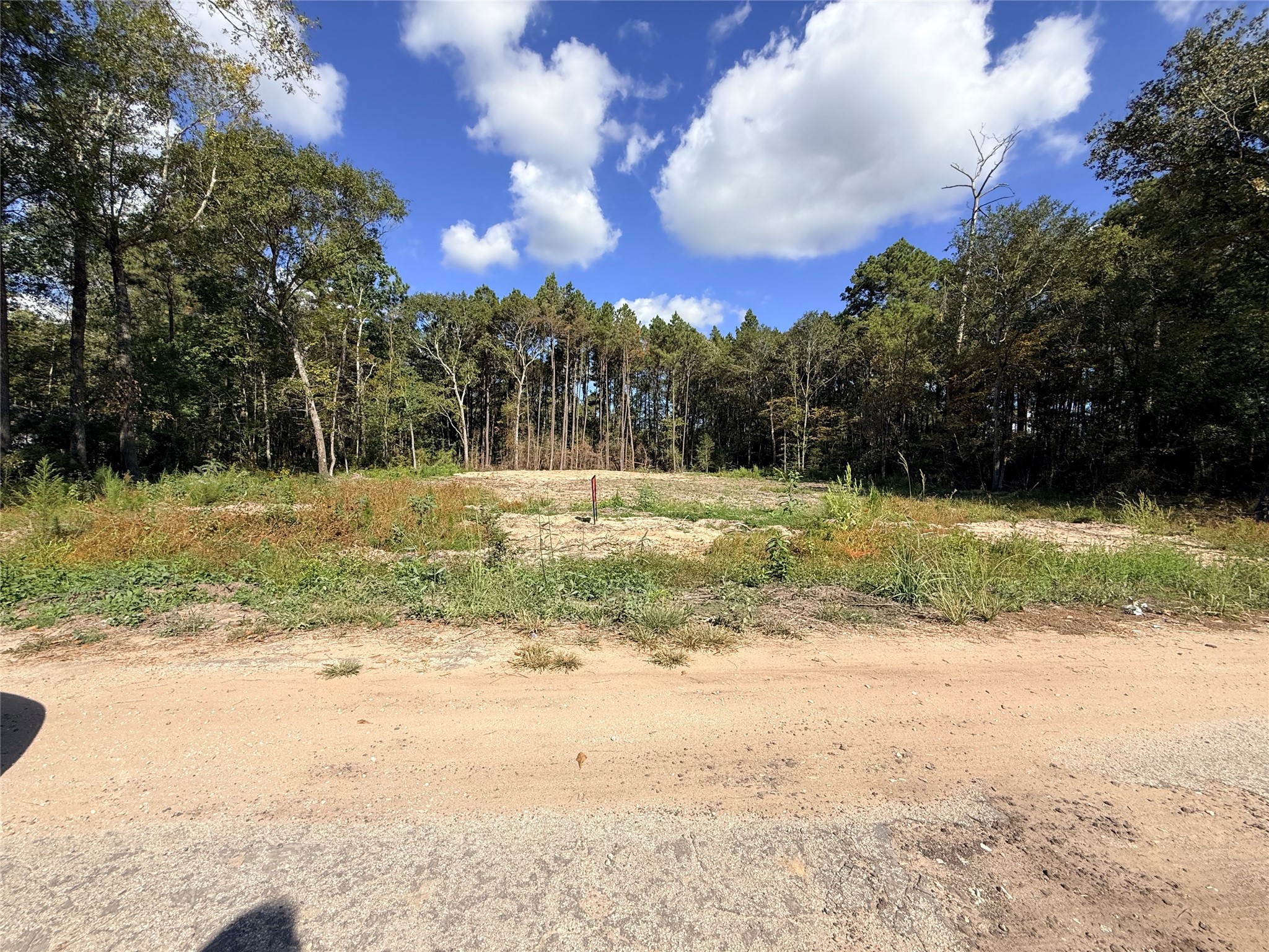 11249 Wildwood Lane Plantersville, TX 77363 - Photo 14 of 14