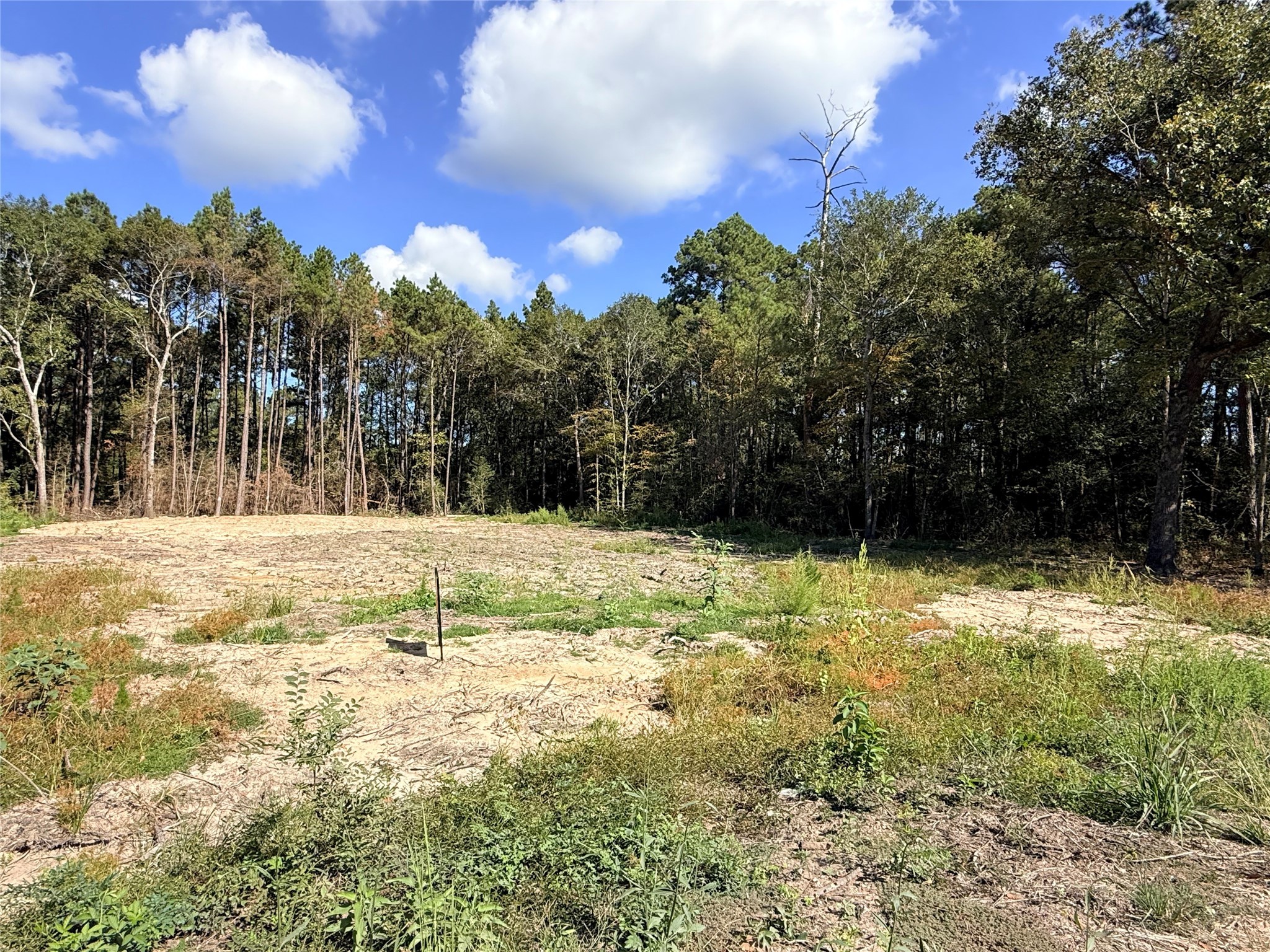 11249 Wildwood Lane Plantersville, TX 77363 - Photo 2 of 14