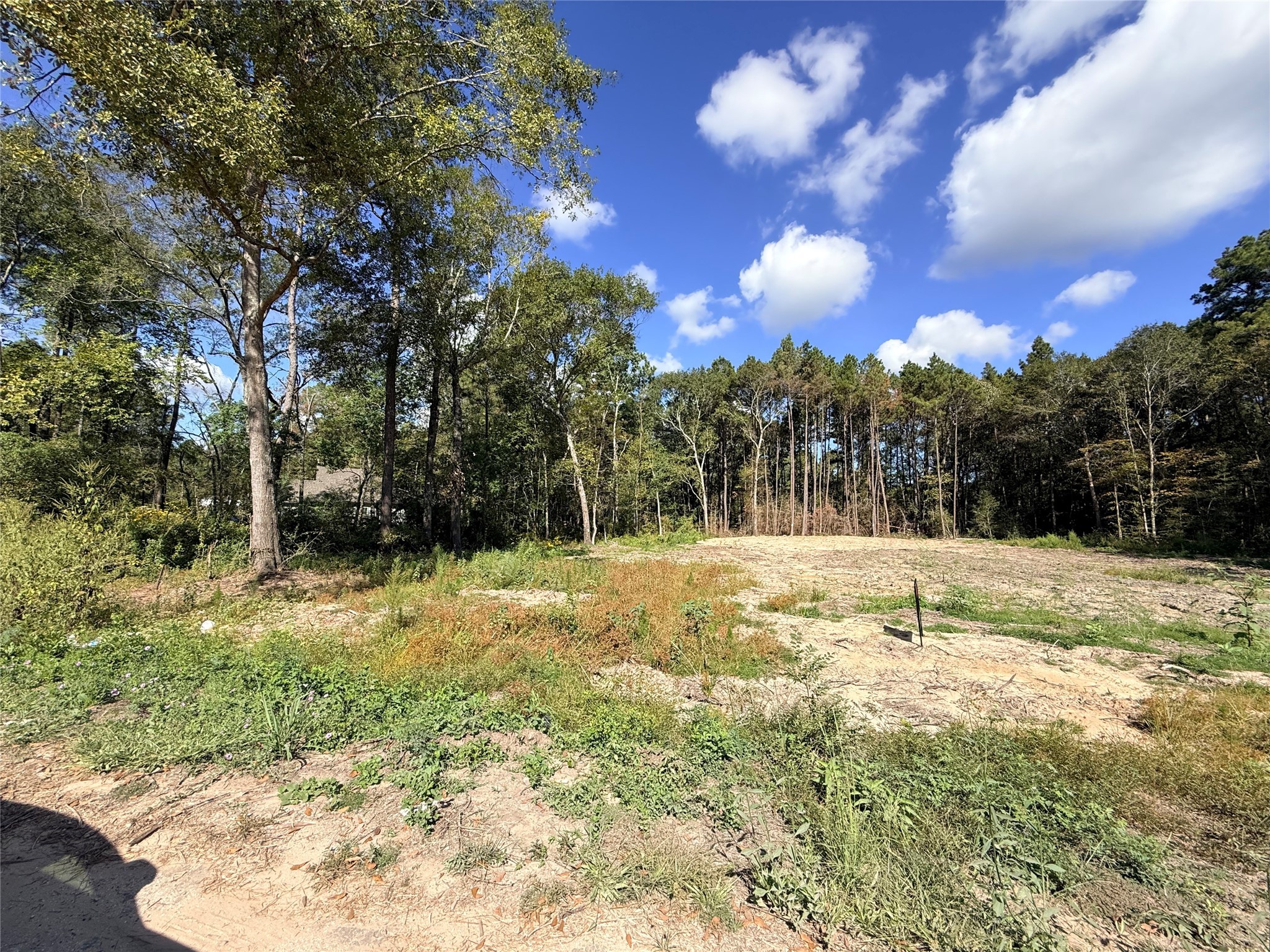 11249 Wildwood Lane Plantersville, TX 77363 - Photo 3 of 14