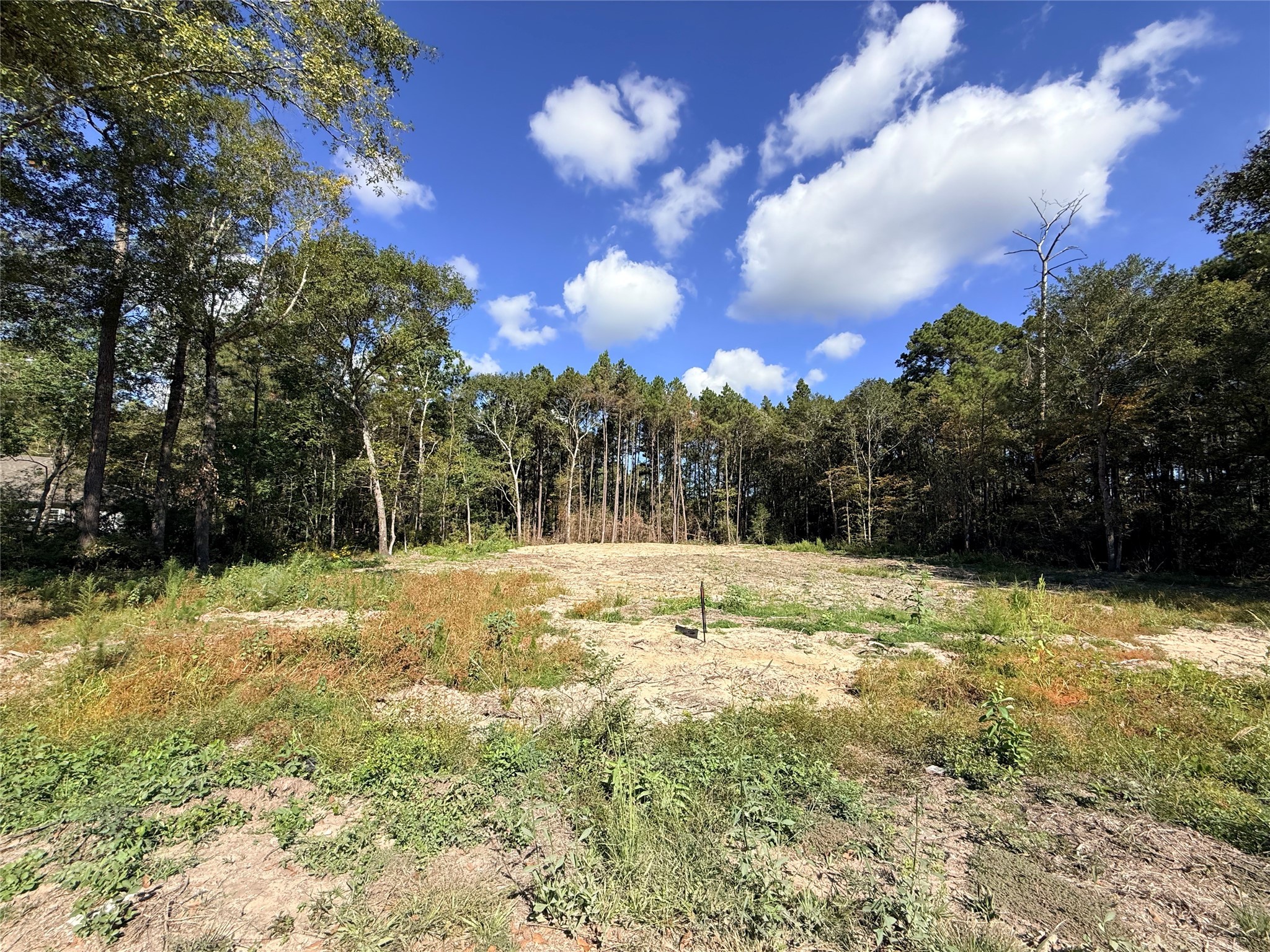 11249 Wildwood Lane Plantersville, TX 77363 - Photo 4 of 14