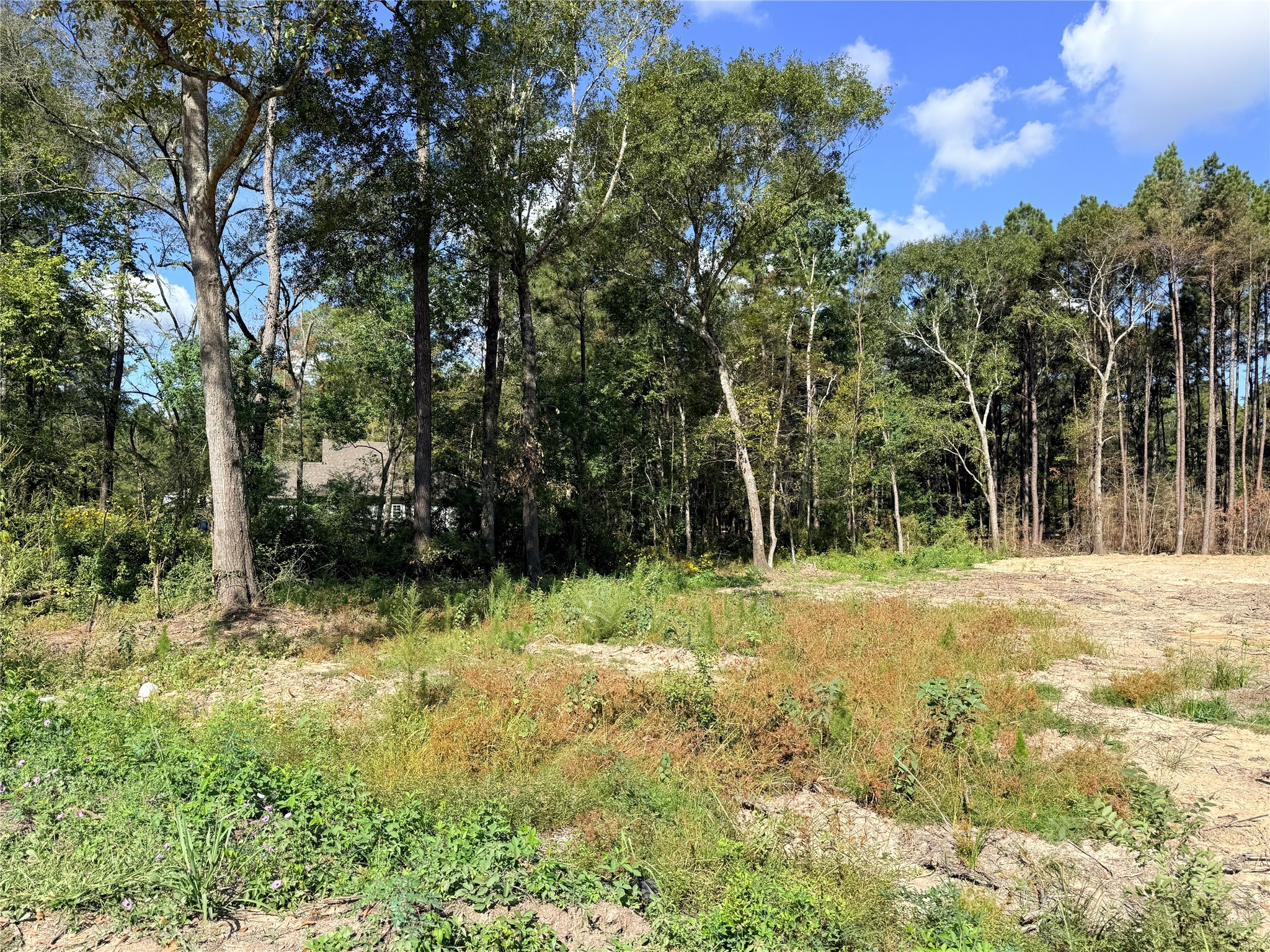 11249 Wildwood Lane Plantersville, TX 77363 - Photo 5 of 14