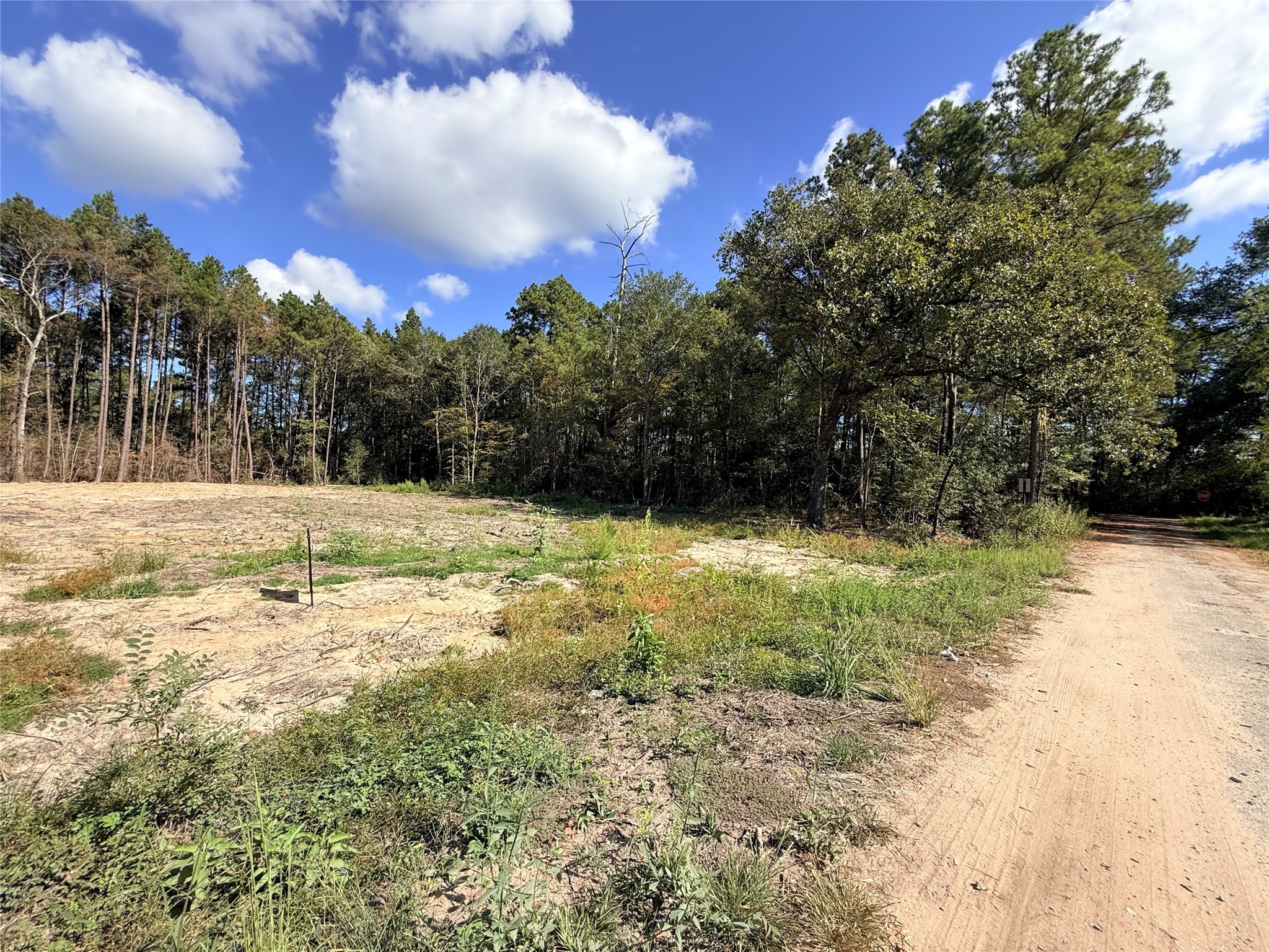 11249 Wildwood Lane Plantersville, TX 77363 - Photo 6 of 14