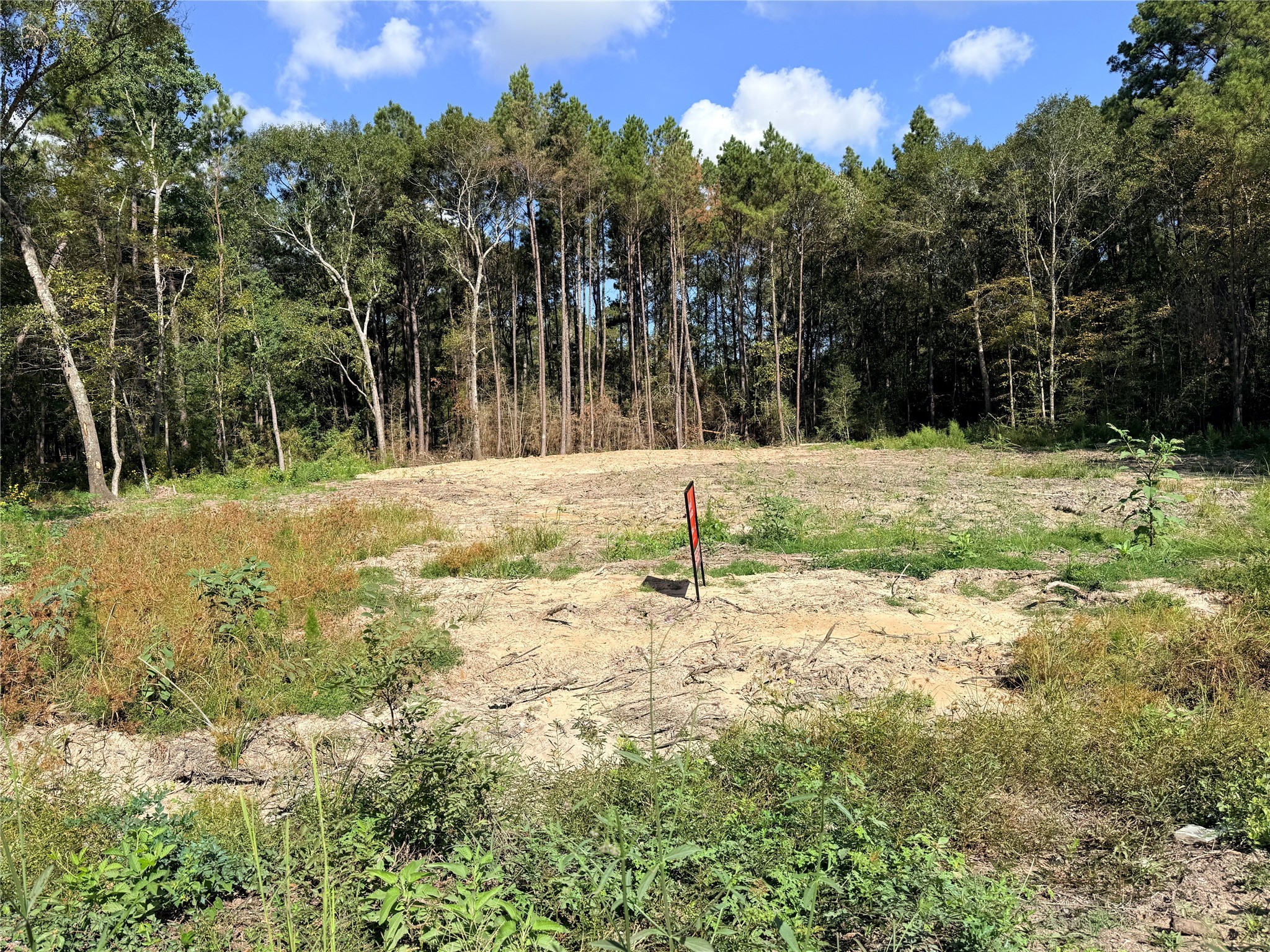 11249 Wildwood Lane Plantersville, TX 77363 - Photo 7 of 14