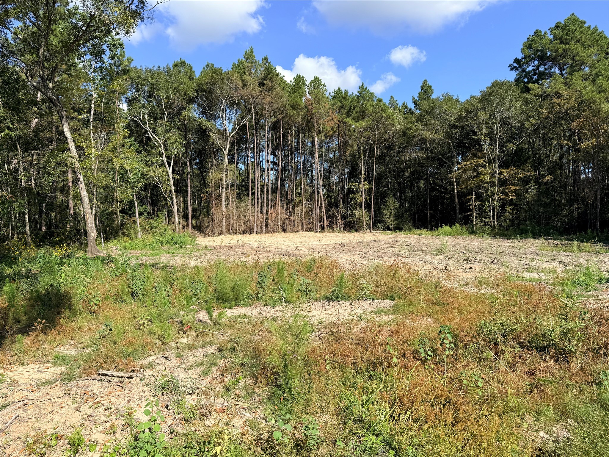 11249 Wildwood Lane Plantersville, TX 77363 - Photo 8 of 14