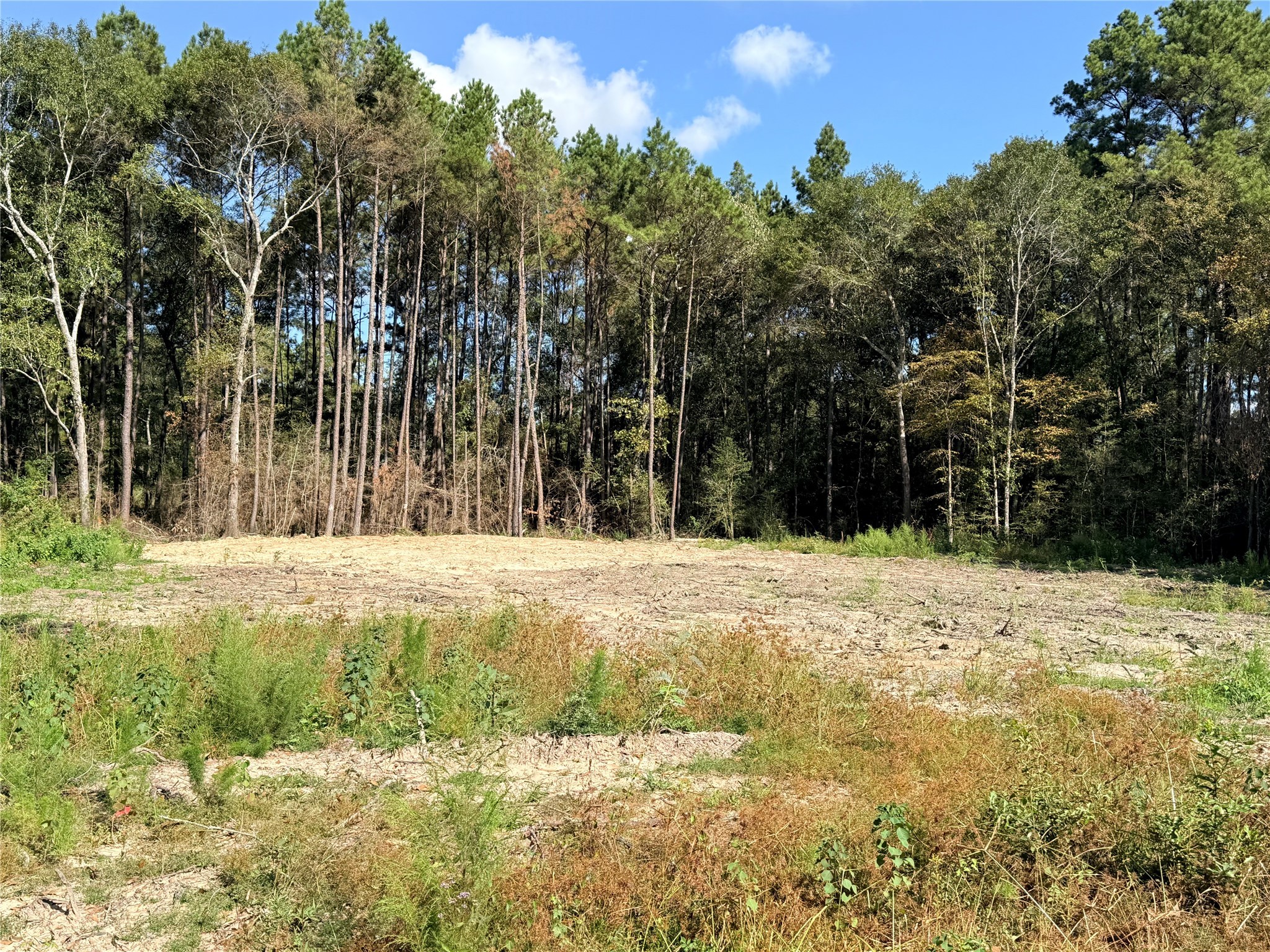 11249 Wildwood Lane Plantersville, TX 77363 - Photo 9 of 14