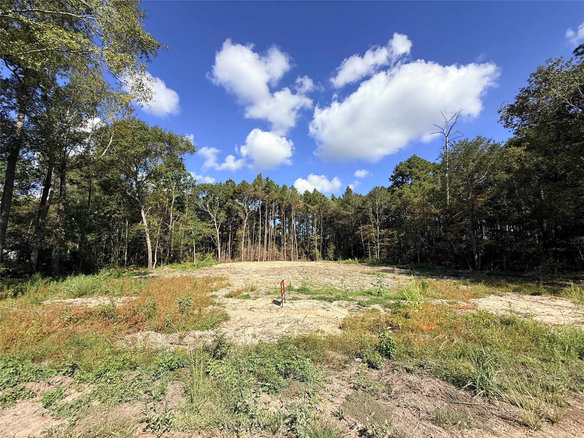 11249 Wildwood Lane Plantersville, TX 77363 - Photo 10 of 14