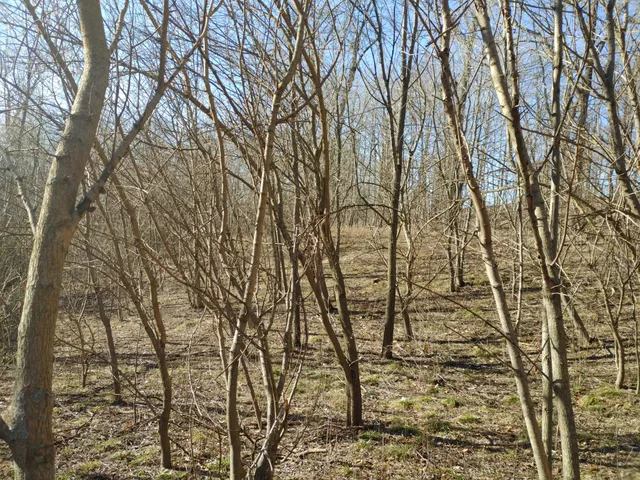 $325,000 | 2020 East Lake Shore Drive, Twin Lakes, WI 53181