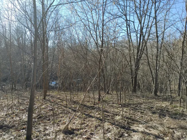 $325,000 | 2020 East Lake Shore Drive, Twin Lakes, WI 53181