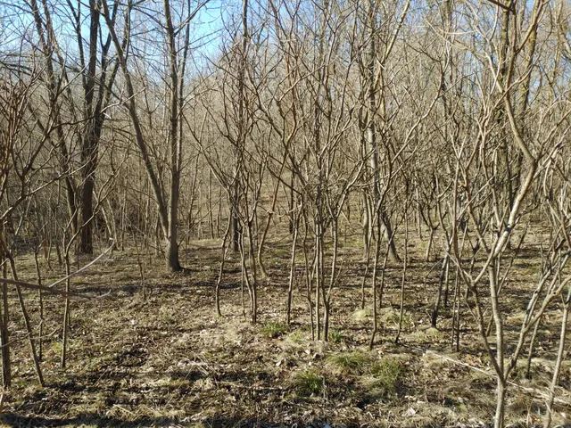 $325,000 | 2020 East Lake Shore Drive, Twin Lakes, WI 53181