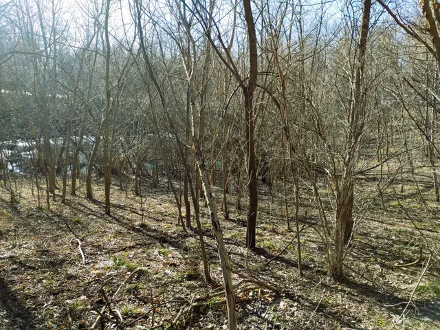 $325,000 | 2020 East Lake Shore Drive, Twin Lakes, WI 53181