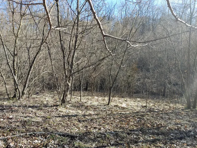 $325,000 | 2020 East Lake Shore Drive, Twin Lakes, WI 53181