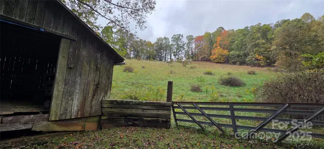 a view of trees and outdoor space