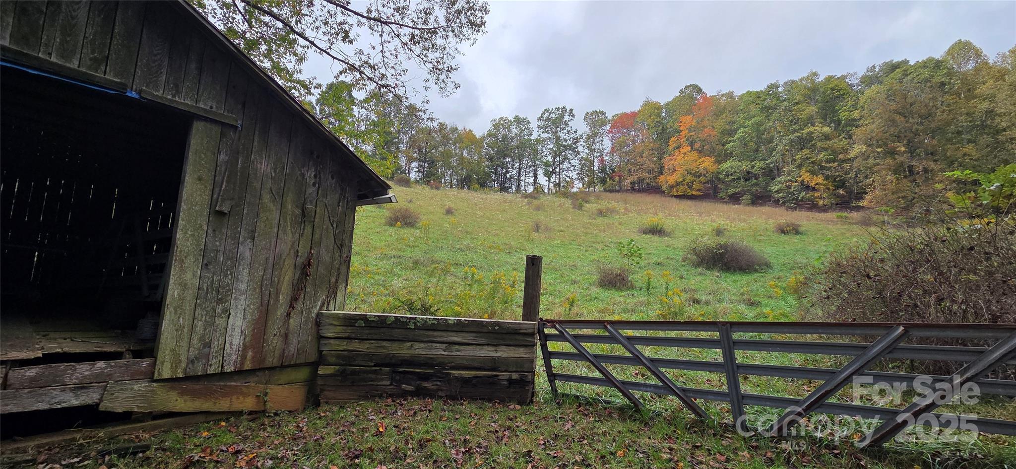 214 Old Dale Road Spruce Pine, NC 28777 - Photo 12 of 42 a view of trees and outdoor space