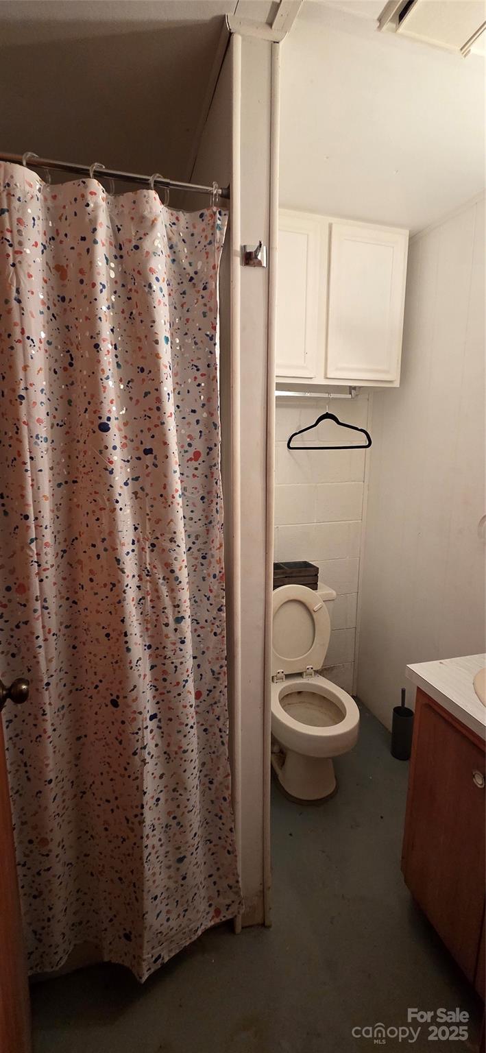 214 Old Dale Road Spruce Pine, NC 28777 - Photo 29 of 42 a bathroom with a toilet a sink and a shower