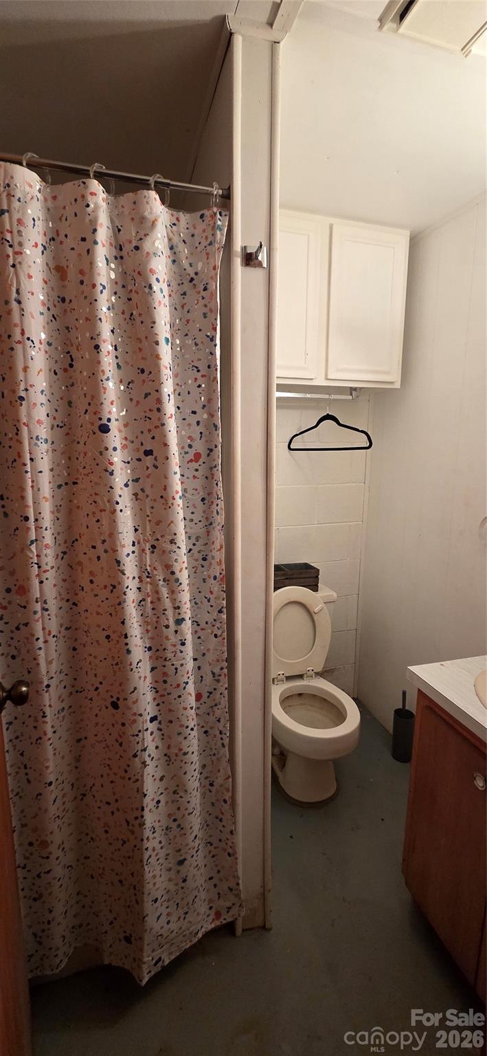 214 Old Dale Road Spruce Pine, NC 28777 - Photo 29 of 39 a bathroom with a toilet a sink and a shower
