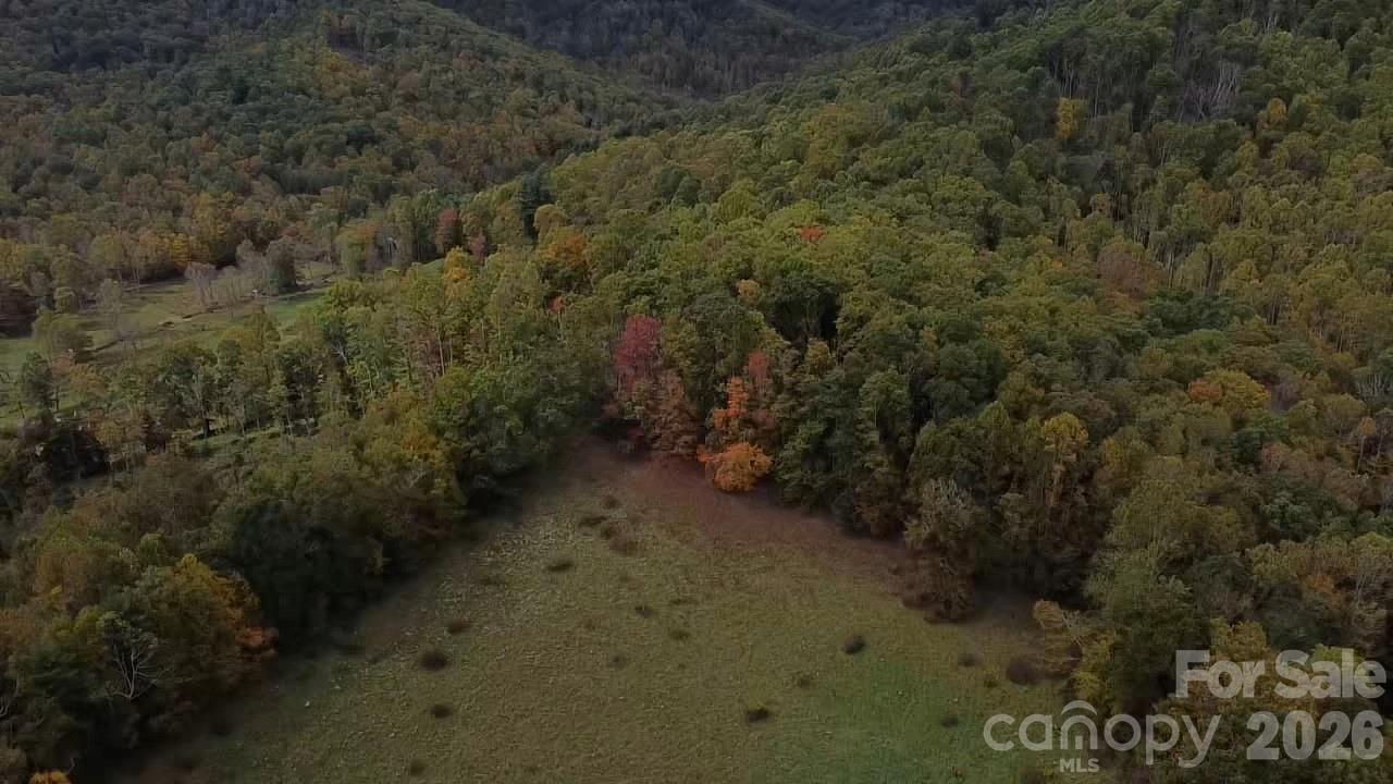 214 Old Dale Road Spruce Pine, NC 28777 - Photo 38 of 39