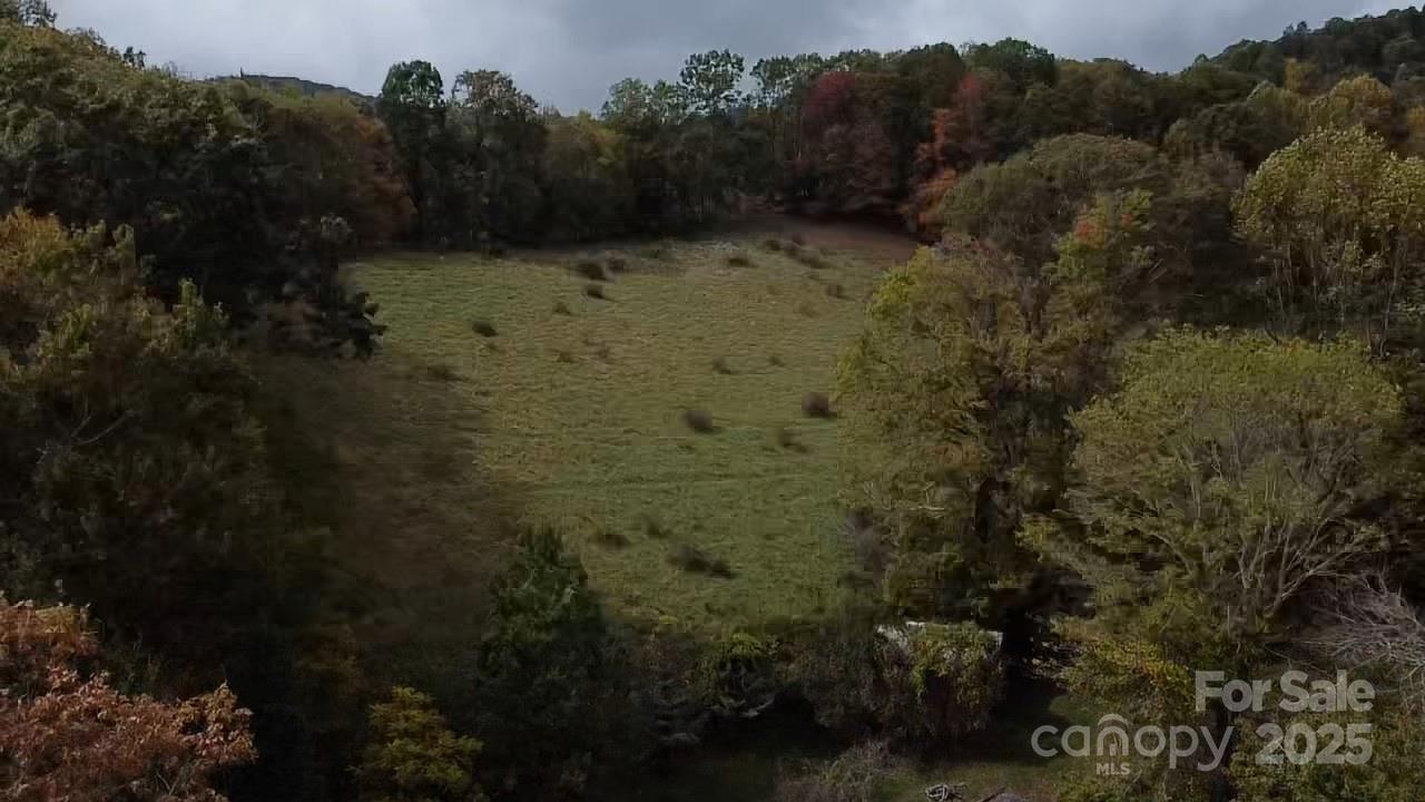 214 Old Dale Road Spruce Pine, NC 28777 - Photo 39 of 42 a view of a dry yard