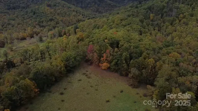 a view of a couches in a backyard