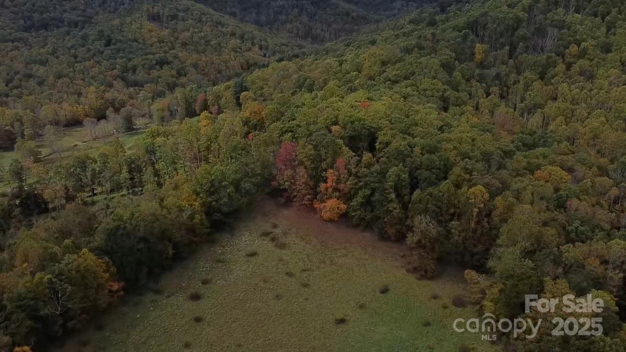 214 Old Dale Road Spruce Pine, NC 28777 - Photo 41 of 42 a view of a dry yard with trees